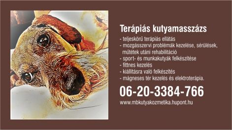 mb_kutyakozmetika_2.jpg mb_kutyakozmetika_2.jpg